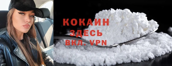 дурь Вяземский