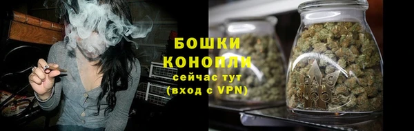 дурь Вяземский