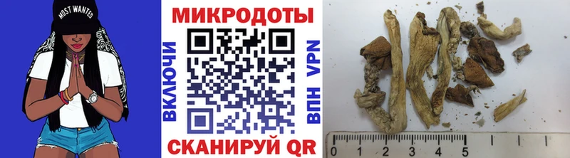 Псилоцибиновые грибы GOLDEN TEACHER  Купить где  Ужур 